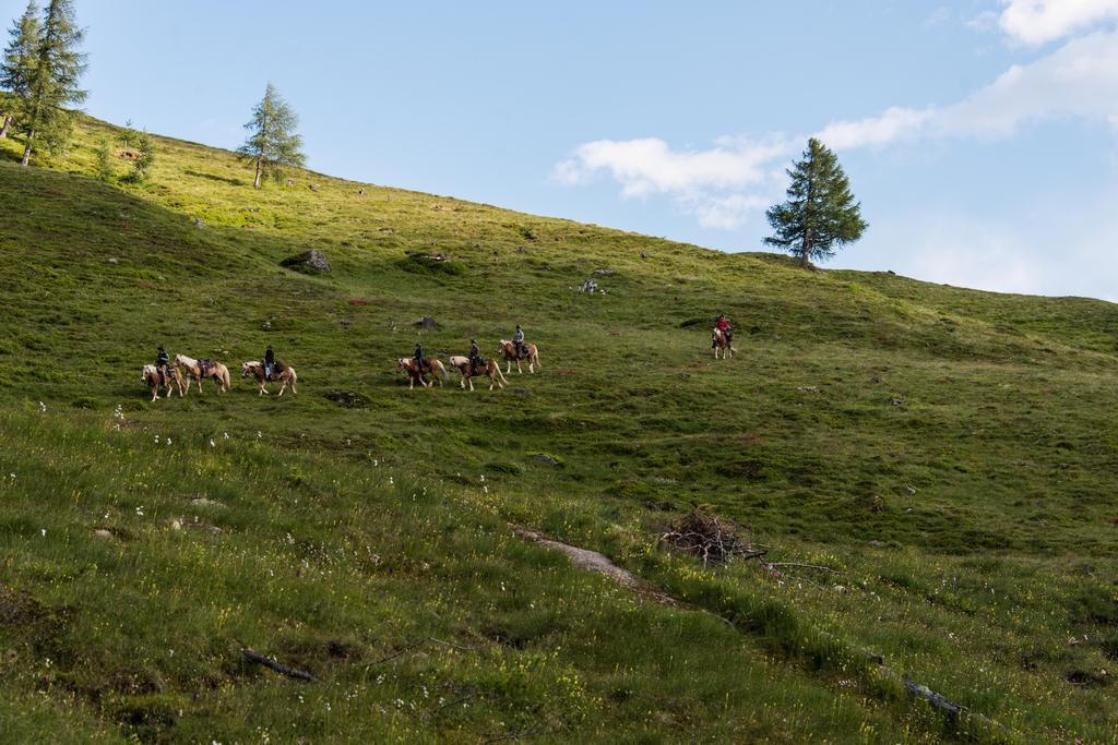 Landhaus Alpenrose - Feriendomizile Pichler Heiligenblut Exterior foto